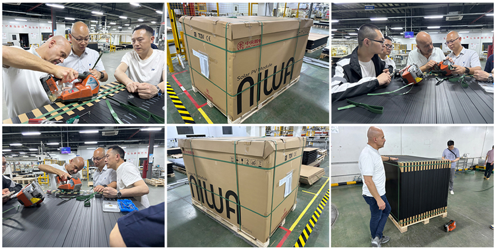 تطبيق ربط الحيوانات الأليفة في مجال الألواح الضوئية الشمسية