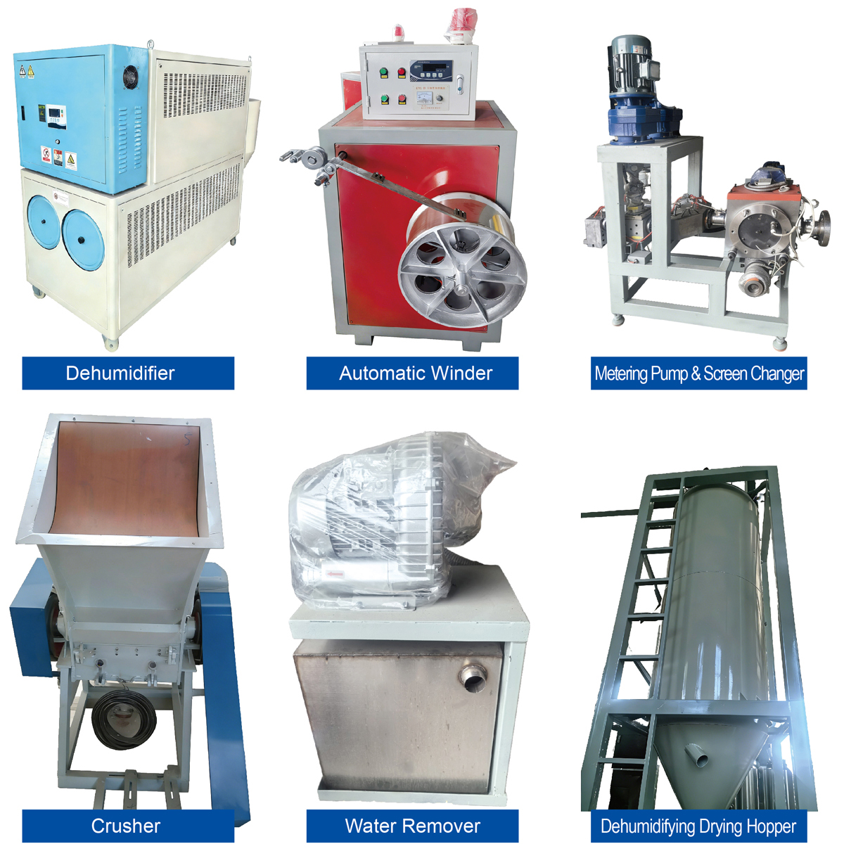 خط إنتاج الحيوانات الأليفة